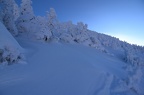 Obalené stromy při sestupu do Pece pod Sněžkou.