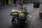 Prodavačka jackfruit (plody chlebovníku) v Saigonu.