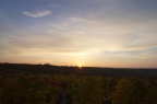 Východ slunce za sklípkem na vinici v Čejkovicích