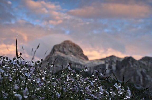 Večerní světlo a záběr na Triglav skrz palouk při sestupu do Vrat.